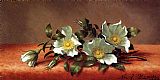 The Cherokee Rose by Martin Johnson Heade